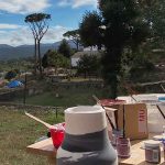 innovación y renovación