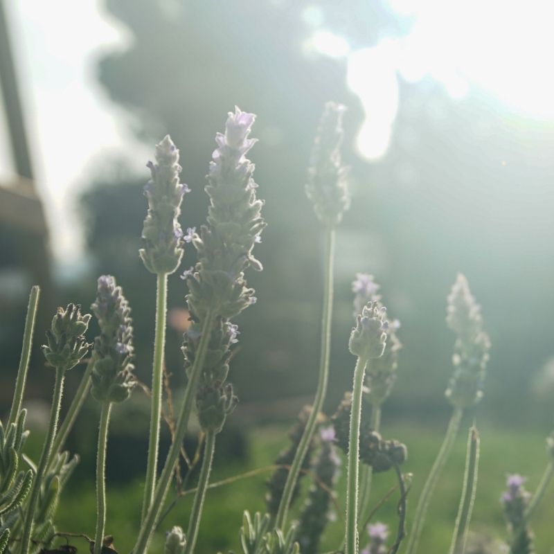 137-degrees-nature-1