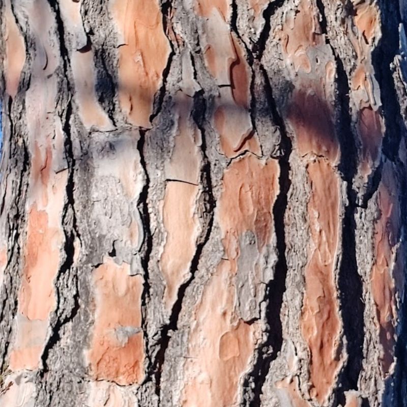 137-degrees-nature-2