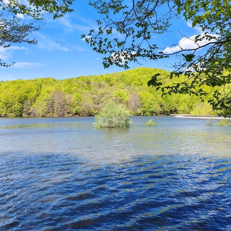 137-degrees-nature-3