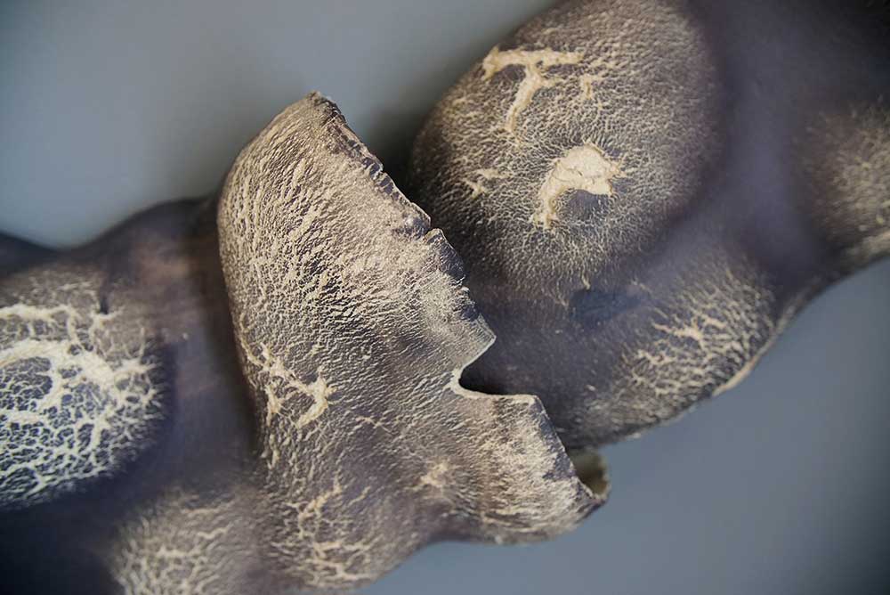 137-degrees-hotel-siro-1